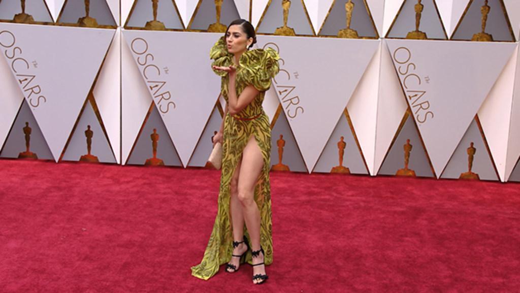 Photos Of Actress Blanca Blanco's Vagina Flash On Oscars Red Carpet.