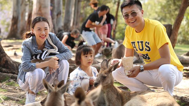 Chinese tourist Shang Yao with wife Ma Shuo and daughter Shang You Ya at Brisbane’s Lone Pine koala park yesterday. Picture: Lyndon Mechielsen