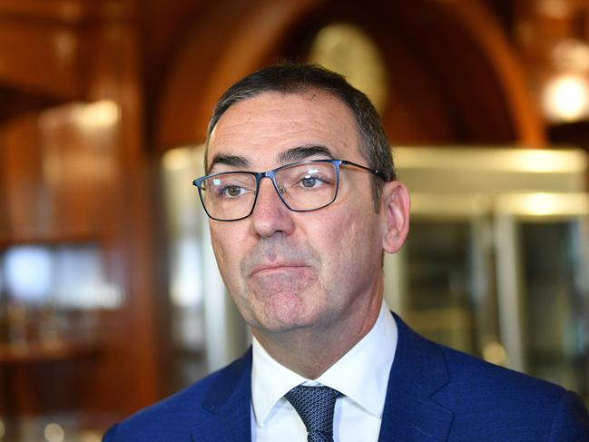 South Australian Premier Steven Marshall speaks to the media. Picture; AAP.