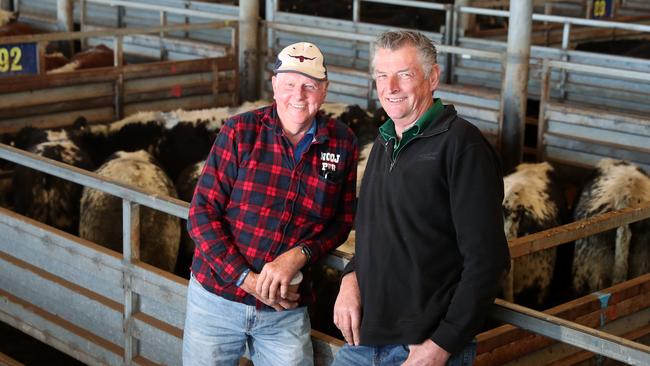 Wayne Churchill, from Kilkunda, buying today, &amp; his friend Leigh Allen, from Flinders, selling 35 heads. Picture: Yuri Kouzmin