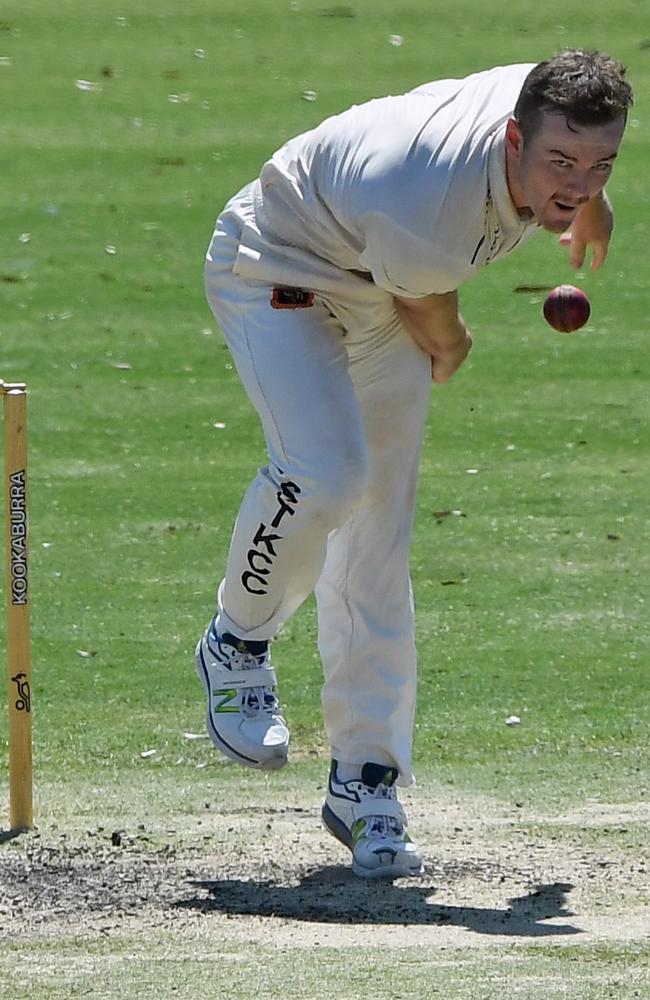 St Kilda opening bowler Shea Gribben.