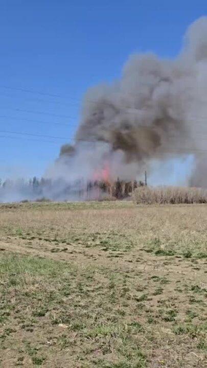 Several Businesses Evacuated as Large Grass Fire Rages in Edmonton