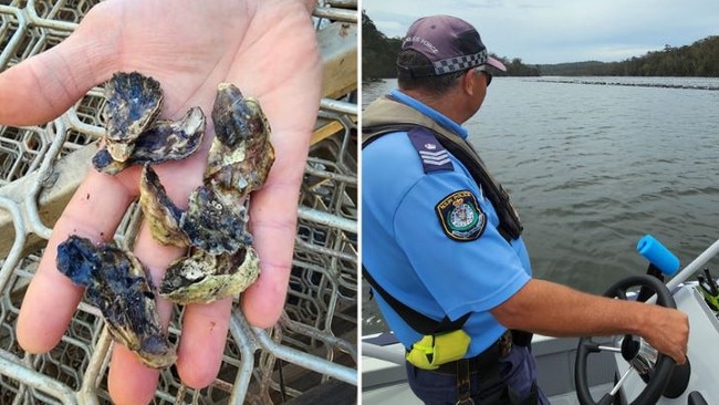 Strike Force Trident are handling the investigation. Pictures: NSW Police.