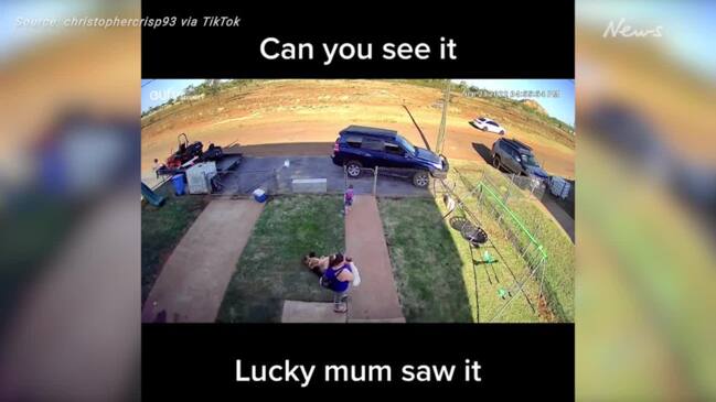 Qld mum saves young boy from camouflaged snake