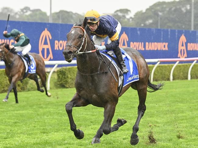 Race 1 - Royal Randwick, 14 August 2024, Winner - Theblade, Picture: Bradley Photos