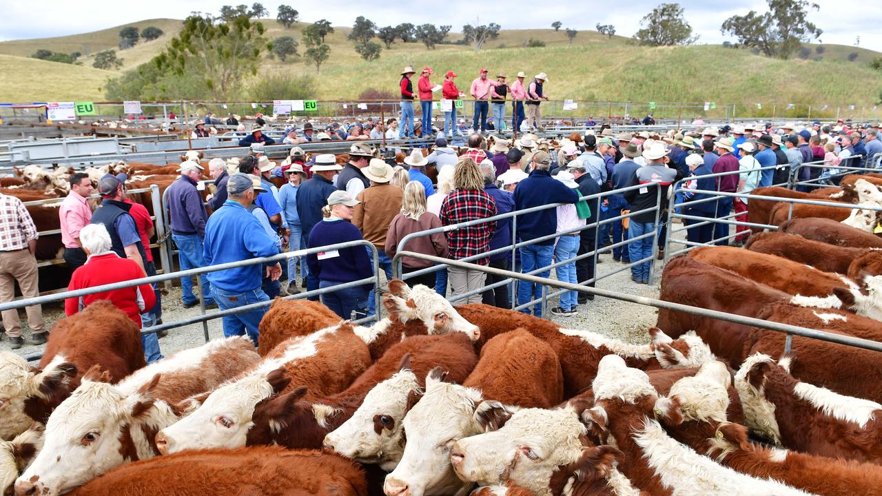 Buyers react to compressed livestock prices