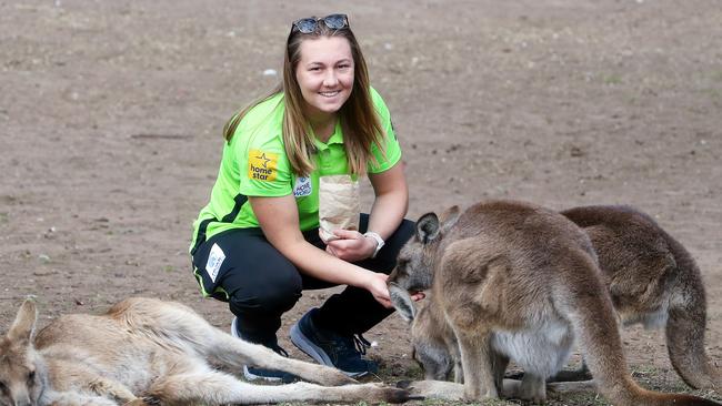 Sydney Thunder player Anika Learoyd at the Bonorong Wildlife Sanctuary feeding Kangaroos. Pic: Sarah Reed/Getty Images.