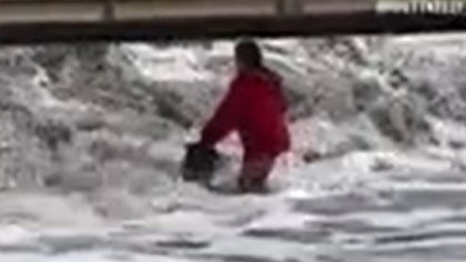 Woman and dog smashed by wave.