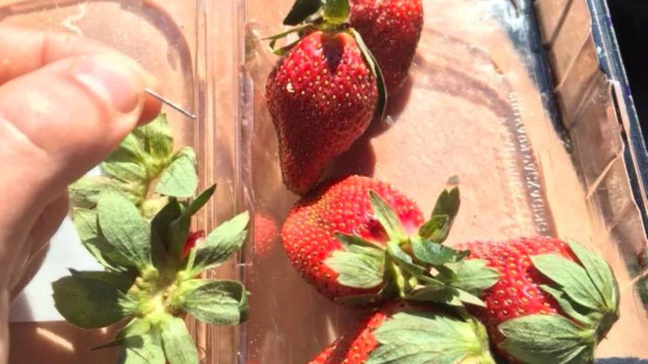 Recall after sewing needles found in strawberry punnets