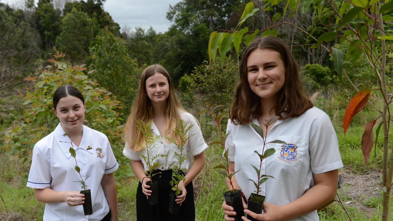 Mullumbimby High School vice captain Indi Gumbrell and fellow students Malani Farrell and Bethany Woods prepare to plant trees as part of the new Trees for Koalas - Connecting Communities project. The project is aimed at increasing the number of koala food trees on private properties within the Byron Shire. The group toured a Binna Burra property on Tuesday, October 27, before planting 400 new koala food trees to build upon existing plantation works. Picture: Liana Boss