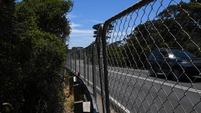 A $150,000 fence put up in an attempt to stop people getting the Pillars will be removed over Easter. Picture: Penny Stephens 