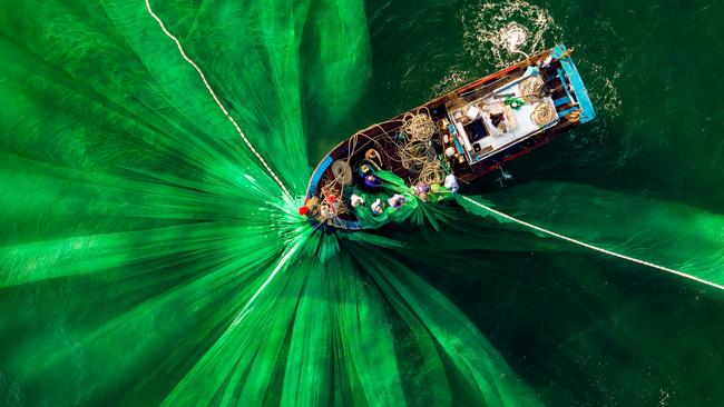 Pictures from #Green2020, Agora’s latest online photo contest. 'Fishing' by @alexcao (Vietnam)