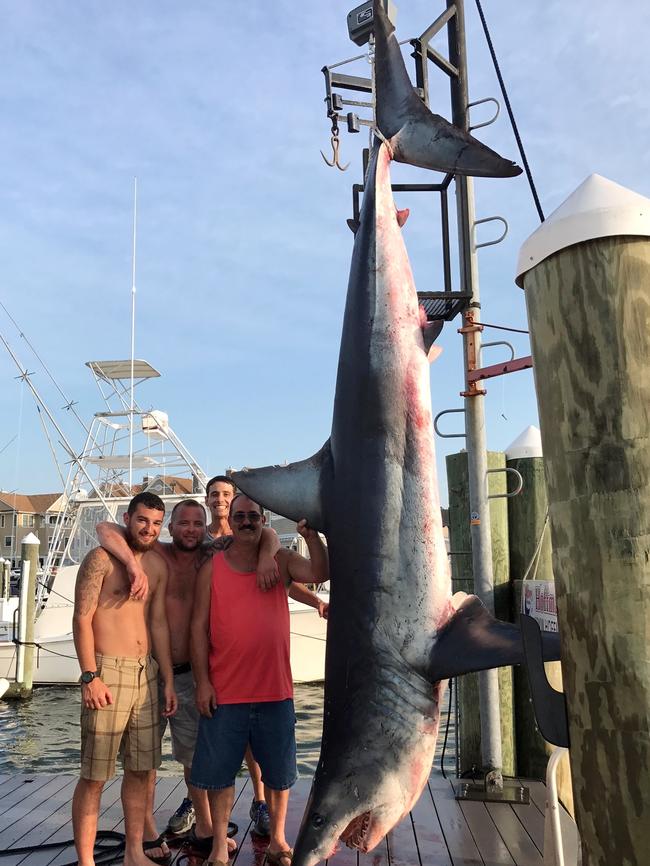 <s1>Jenny Lee Sportfishing crew reeled in a 926-pound Mako shark. </s1>                        <ld pattern=" "/>                        <source>Picture: JENNY LEE SPORTFISHING via AP</source>