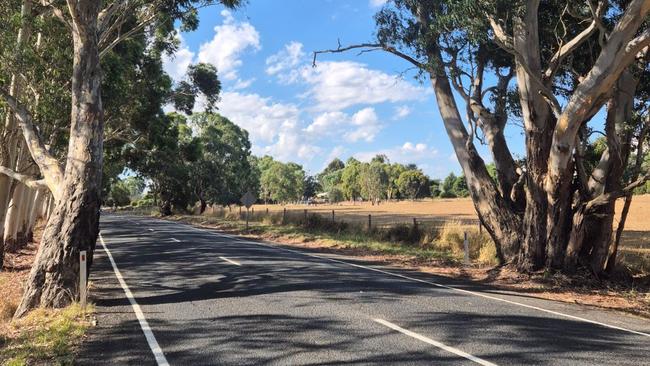 Battunga Rd, Echunga. Picture: Supplied