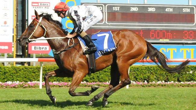 The Mel Eggleston-trained All Over Bosanova wins at the Gold Coast to maintain her unbeaten record.  Photo: Grant Peters, Trackside Photography.