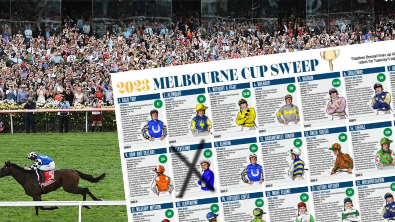 Melbourne Cup 2024 Horses Sweeping Lusa