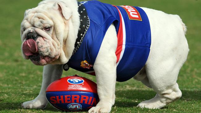 Said the retired Western Bulldogs mascot.