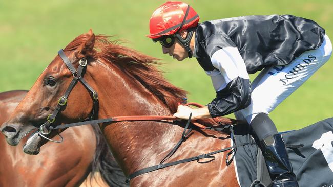 Written By maintained his unbeaten record with victory in the Pago Pago Stakes. Picture: Getty Images