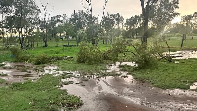 Trees were torn up at Hollie Cope's Gracemere property during a wild storm on January 12, 2025.