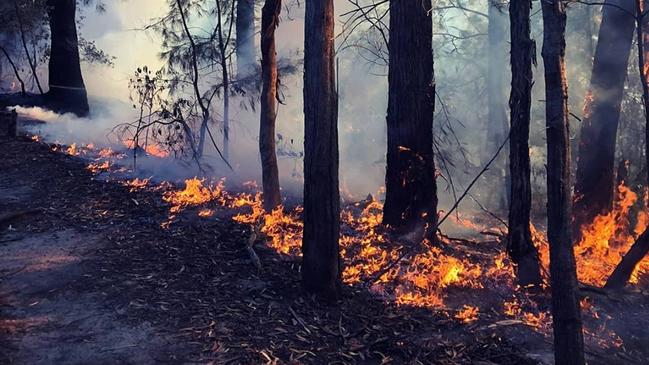 The hazard reduction burn in Hornsby on Saturday. Picture: Hornsby Rural Fire Brigade