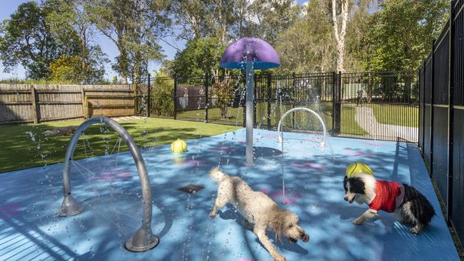 Dogs can cool off at the splash park inside the 6ha Eumundi property