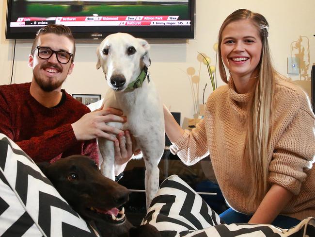 Kyle Vos and sister Tammy Vos have both adopted greyhounds Teddy and Charlie. The shutdown will include a strategy for rehoming dogs. Picture: Peter Ristevski