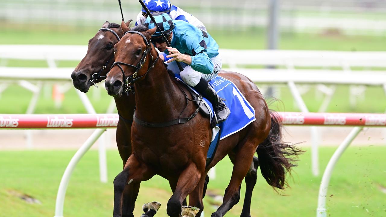 Supplied Editorial Blake Shinn rides $500,000 colt Wolfgang to victory at Doomben and  seals a spot in the Gold Coast Magic Millions 2YO Classic field. Picture:  Grant Peters, Trackside Photography