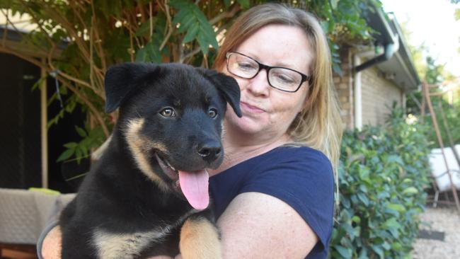 Half rottweiler-husky cross Bear with his A Mini Rescue foster mum Jenny Daly from Narangba. Photo: Luke Simmonds