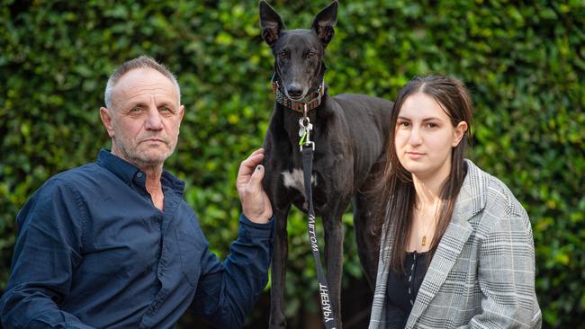 Lior Mileikowski and father Denny have lost their court case to be able to walk greyhound Willow off-leash in an off-leash area. But the family will continue to fight to have the "unfair" law targeting greyhounds changed. Picture: Jason Edwards