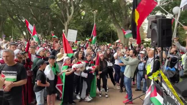 Pro Palestine rally held in Sydney