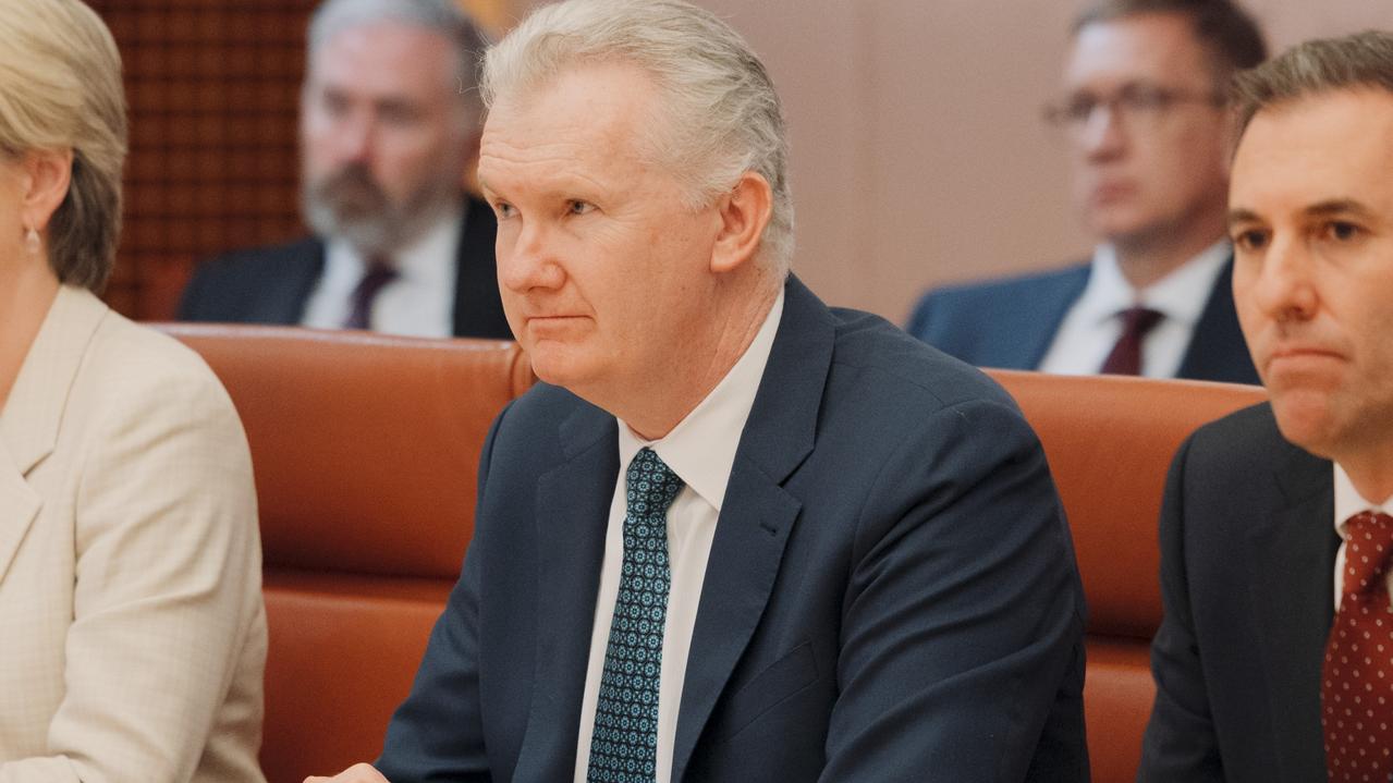 Home Affairs Minister Tony Burke. Picture: NewsWire / David Beach