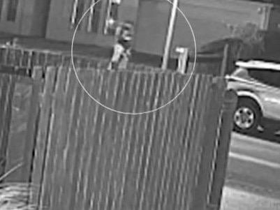 Footage of the alleged driver of a vehicle of a brazen hit-run collision in Geelong on July 17.