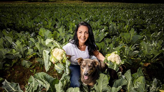 Ms Germano called on the state government to explain to farmers why they were being forced to endure needless anxiety and fear over having their land carved up. Picture- Nicole Cleary