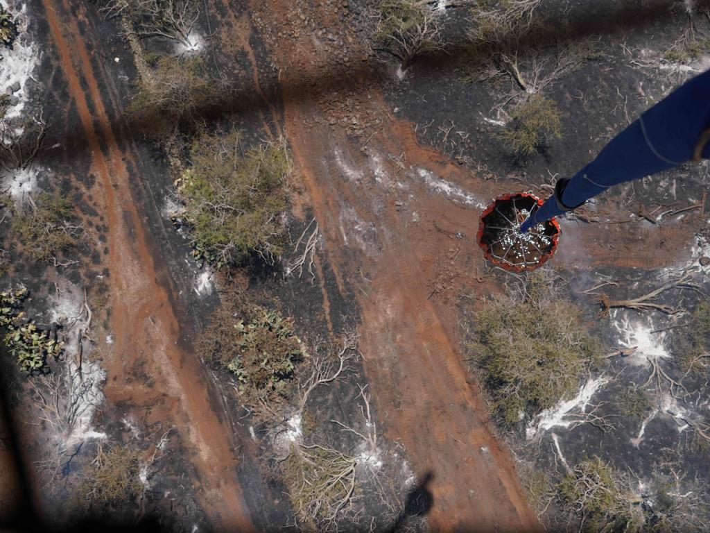 A Hawaii Army National Guard CH47 Chinook drops water on Maui’s fires. Picture: AFP