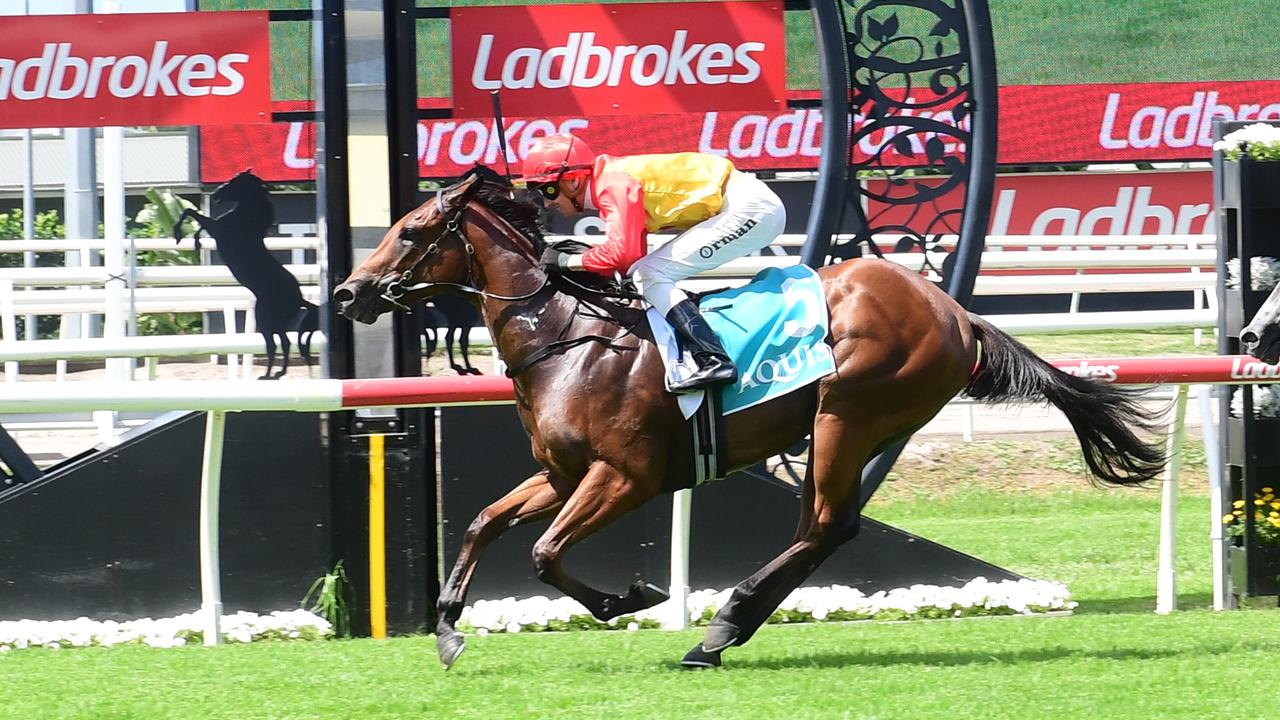 Barbie's Sister won the Listed Calaway Gal last year. Picture: Natasha Wood — Trackside Photography.