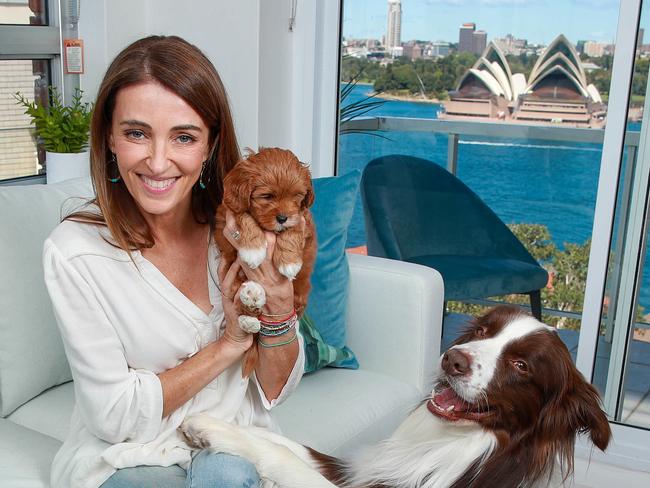 Pet expert Katrina Warren, with Storm and Chilli, at the home, in Kirribilli, that she helped design. The Kirribilli home is one of three being raffled away through a special draw (the winner gets all three). Picture:Justin Lloyd