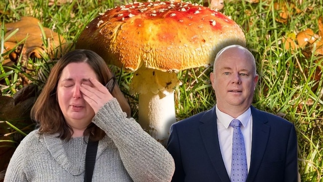 They started out as friends and then fell in love, but now, Erin and Simon Patterson face each other in a court room after poisonous mushrooms changed everything. 