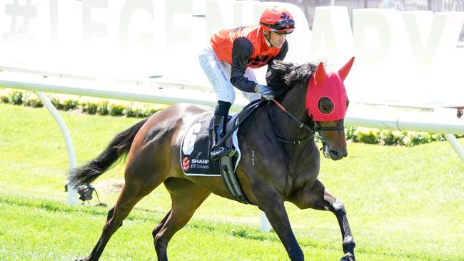 Winnasedge will take on the older horses at Sandown on Saturday. Picture: Racing Photos via Getty Images. Picture: Racing Photos via Getty Images