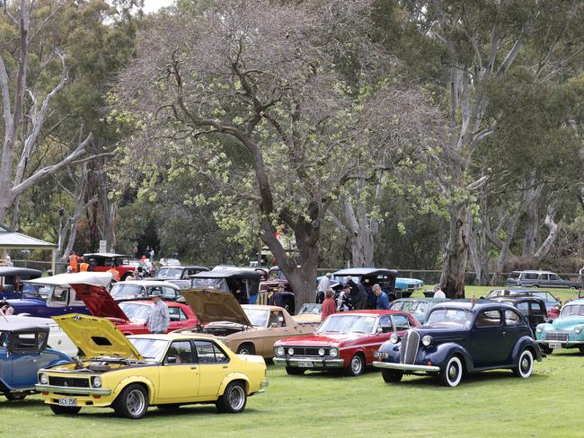 Bay to Birdwood: Cars arrive for inspection at Birdwood Motor Museum. Picture: Russell Millard