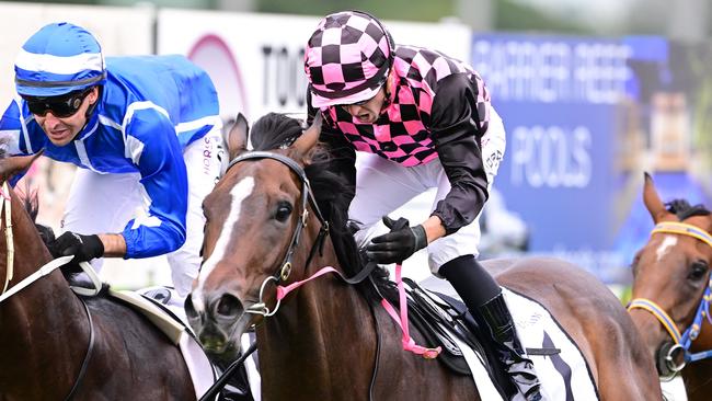 Rothfire will have his first run of the year in the Victory Stakes at Eagle Farm on Saturday. Picture: Grant Peters/Trackside Photography