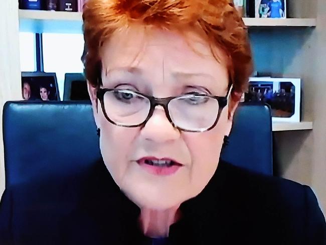 CANBERRA, AUSTRALIANewsWire Photos November 22, 2021: Pauline Hanson via video conference in the Senate Chamber in Parliament House Canberra.Picture: NCA NewsWire / Gary Ramage