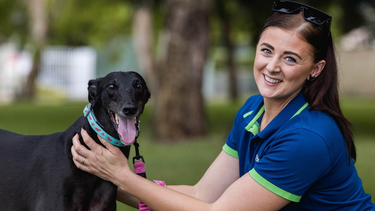 Petstock Darwin's second-in-command Dana Melody and her adopted greyhound Dobbie shared their journey together during National Pet Adoption Month 2025. Picture: Pema Tamang Pakhrin