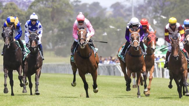 Colour Sergeant (far right) is backing up from his fourth to Shameonus (far left) at Kembla last Saturday. Picture: Getty Images