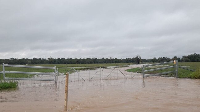 Flooded farms at Roma. Picture: Dayle Little