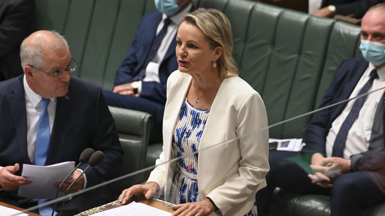 Minister for the Environment, Sussan Ley. (Photo by Martin Ollman/Getty Images)