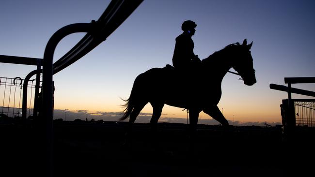 Jockeys, trainers, track riders and farriers are among those being asked for their vaccination status by Racing Victoria. Picture: Brad Fleet