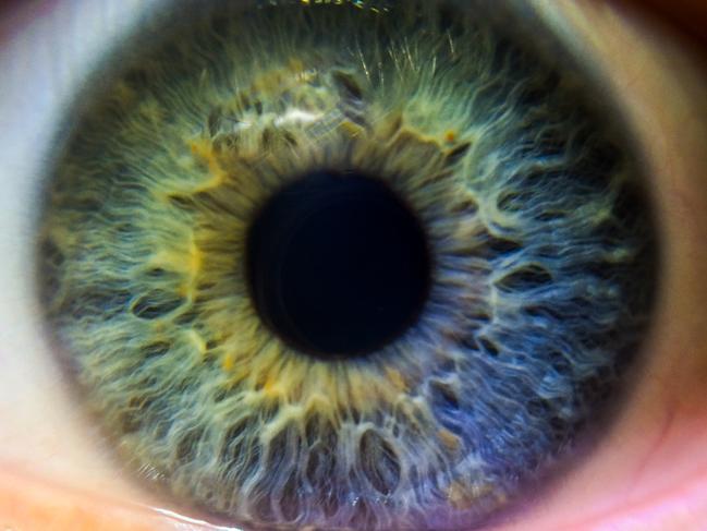 ISTOCK CLOSE UP EYE - A green. blue and purple iris. A multi colored human eye. Picture: Istock