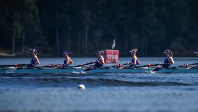 2024 Brisbane Schoolgirl Rowing Association Championship. Photos by Stephen Archer.
