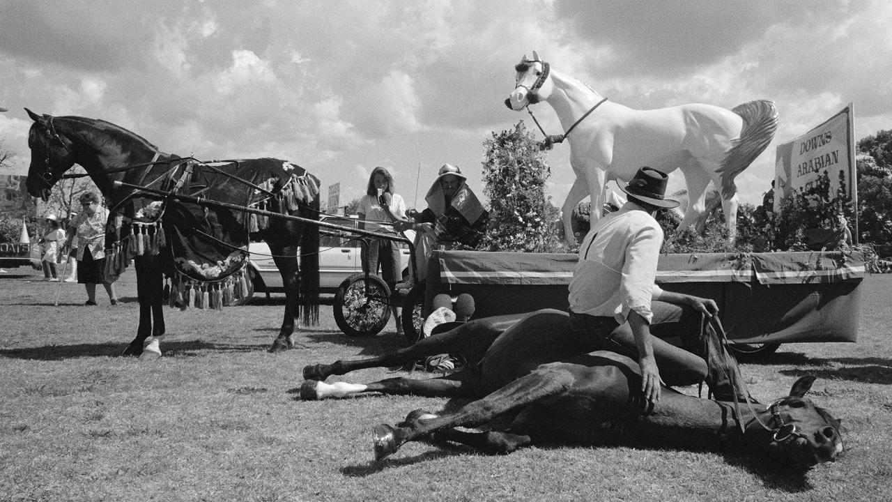 A collection of Graham Burstow's photography in Toowoomba during the 1970s and 1980s. Highlights from a horseshow at the showgrounds.