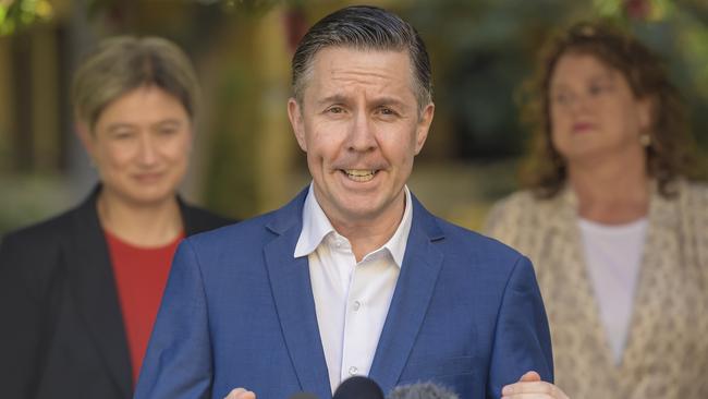 Mr Fitzgibbon took aim at Labor’s Energy and Climate Change spokesman Mark Butler.